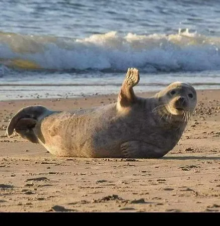 Chez Catherine & Ludovic Holiday home Friville-Escarbotin